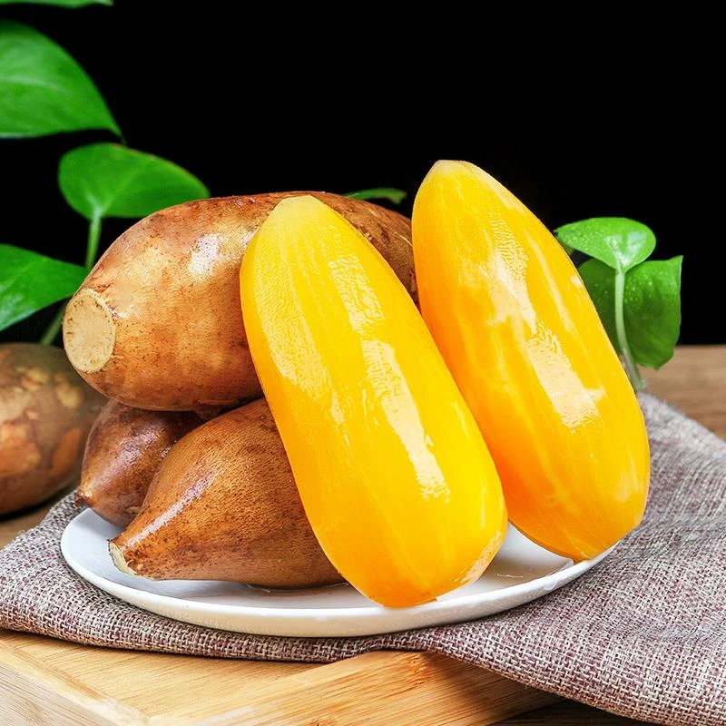 云南天山雪莲果新鲜红心特级一级水果当季整箱正品水莲果雪连果10