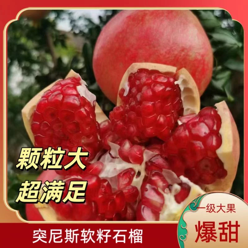 四川大凉山会理突尼斯软籽石榴新鲜当季水果爆甜多汁孕妇快递