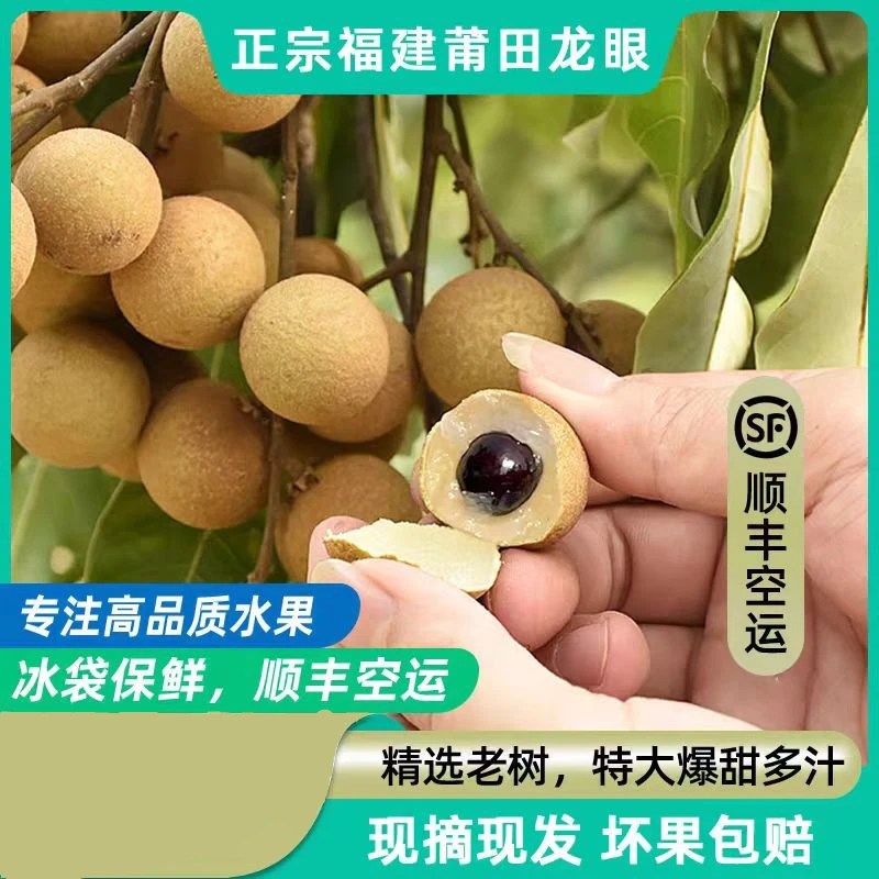 顺丰空运莆田兴化龙眼新鲜现摘现发乌龙岭松风本品种当季水果整件
