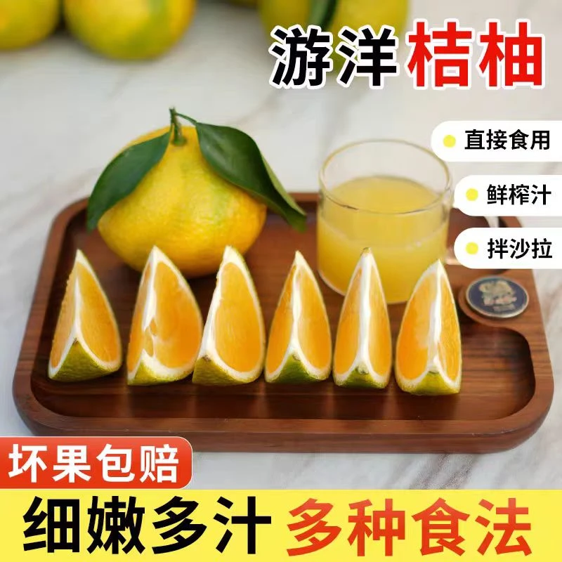福建游洋桔柚甜橘柚新鲜孕妇水果桔子柚子非庆元甜桔柚大果爆汁