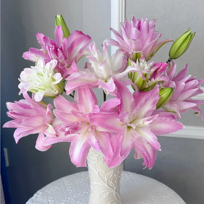 【半岛花铺】红蜜糖 重瓣百合任意2单或以上包邮发货鲜切花