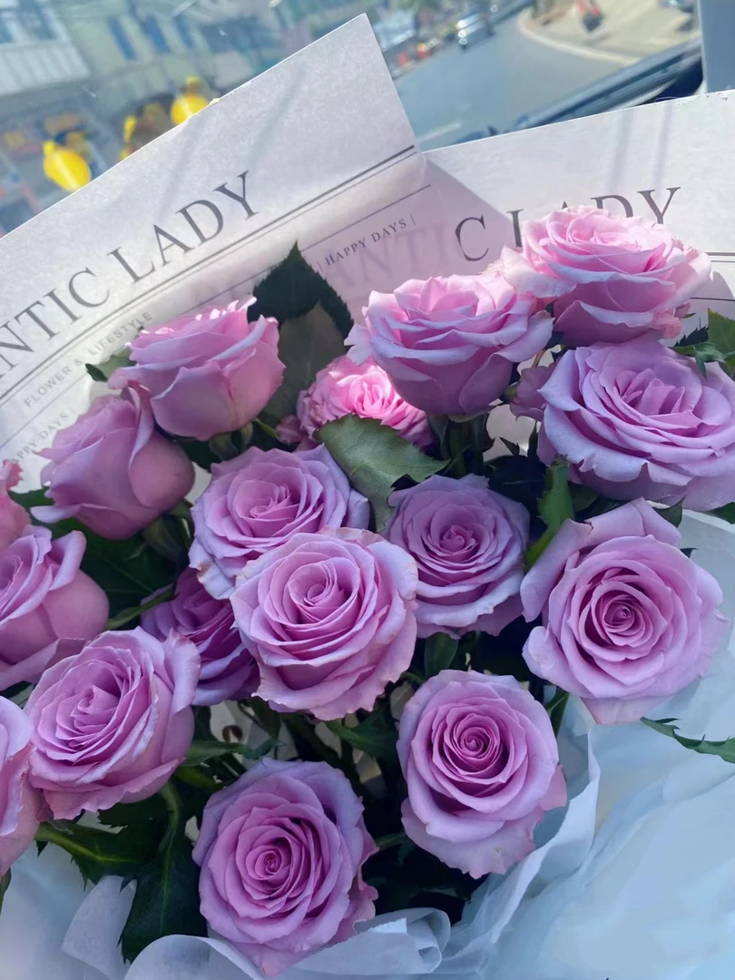 【半岛花铺】紫霞仙子 单头玫瑰花期长紫色系 云南昆明斗南基地直发