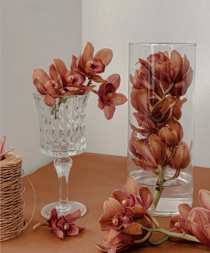 【半岛花铺】大花蕙兰 咖啡 任意两单升级顺丰包邮 云南鲜切花