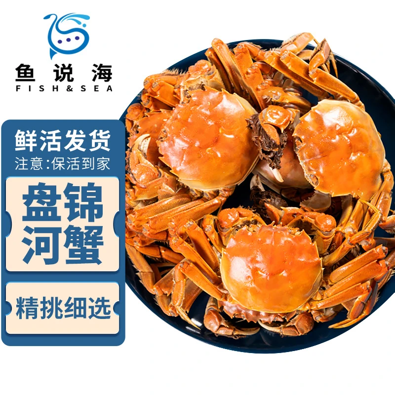 【活蟹】鱼说海 盘锦河蟹 母蟹 1.4-1.6两/只 2斤 盘锦直发(自)