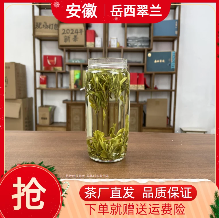 Y5经济实惠口粮醇厚绿茶正宗岳西翠兰2024好茶