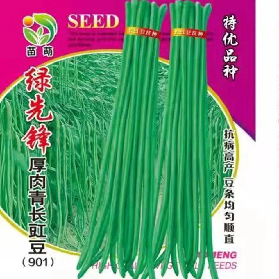 特长绿先锋豆角种子绿条豇豆翠绿色长豆角大棚露天基地蔬菜种子