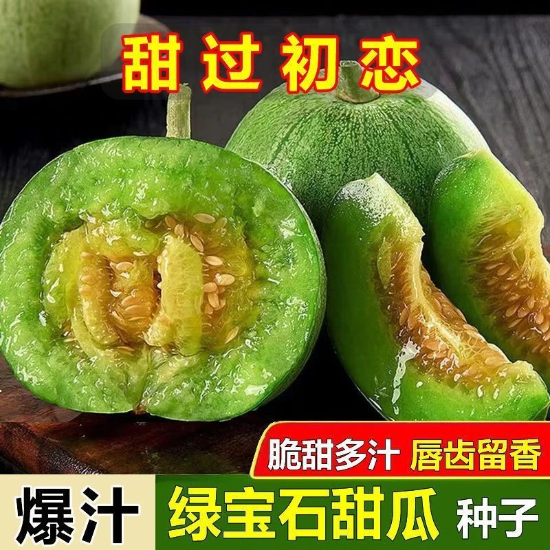 绿宝石甜瓜种子薄皮超甜香瓜种子四季青皮脆瓜早熟高产水果香瓜籽