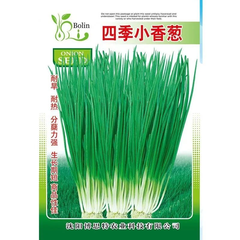 小香葱籽种子四季易种小葱种子阳台室内盆栽葱种子批发家庭菜种子