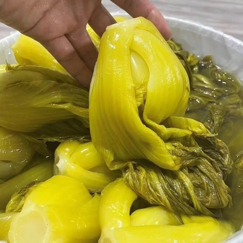 广西梧州农家芥菜酸脆爽口喝粥配菜神器炒猪大肠完美配菜无添加