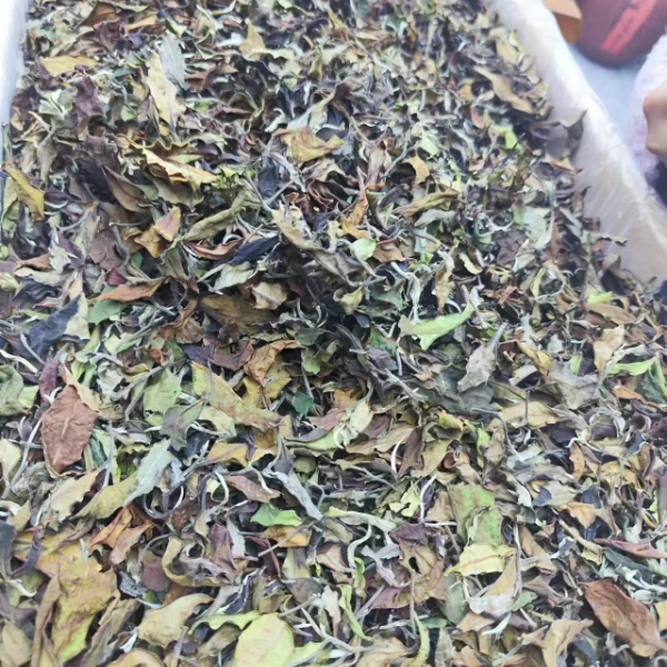 2021年达贤茶楼云南白茶日晒白牡丹散茶200g
