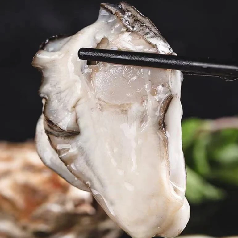精选大大个鲜活生蚝牡蛎 肉质饱满鲜嫩 5+规格到手5斤+生蚝工具