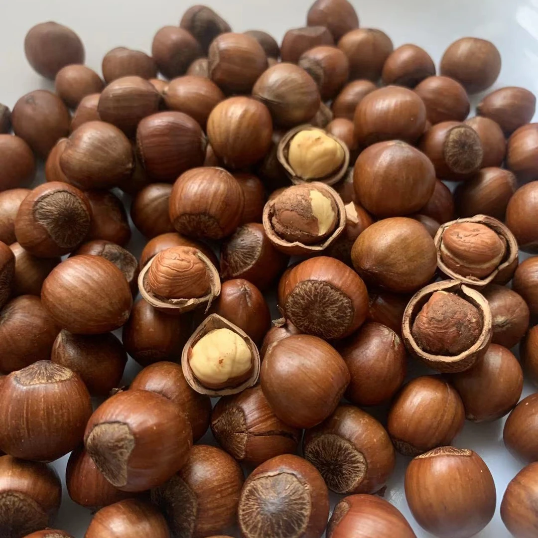 笨炒大榛子（熟）2斤/4斤，送夹子