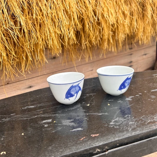 小鱼杯小鱼杯比仔1990