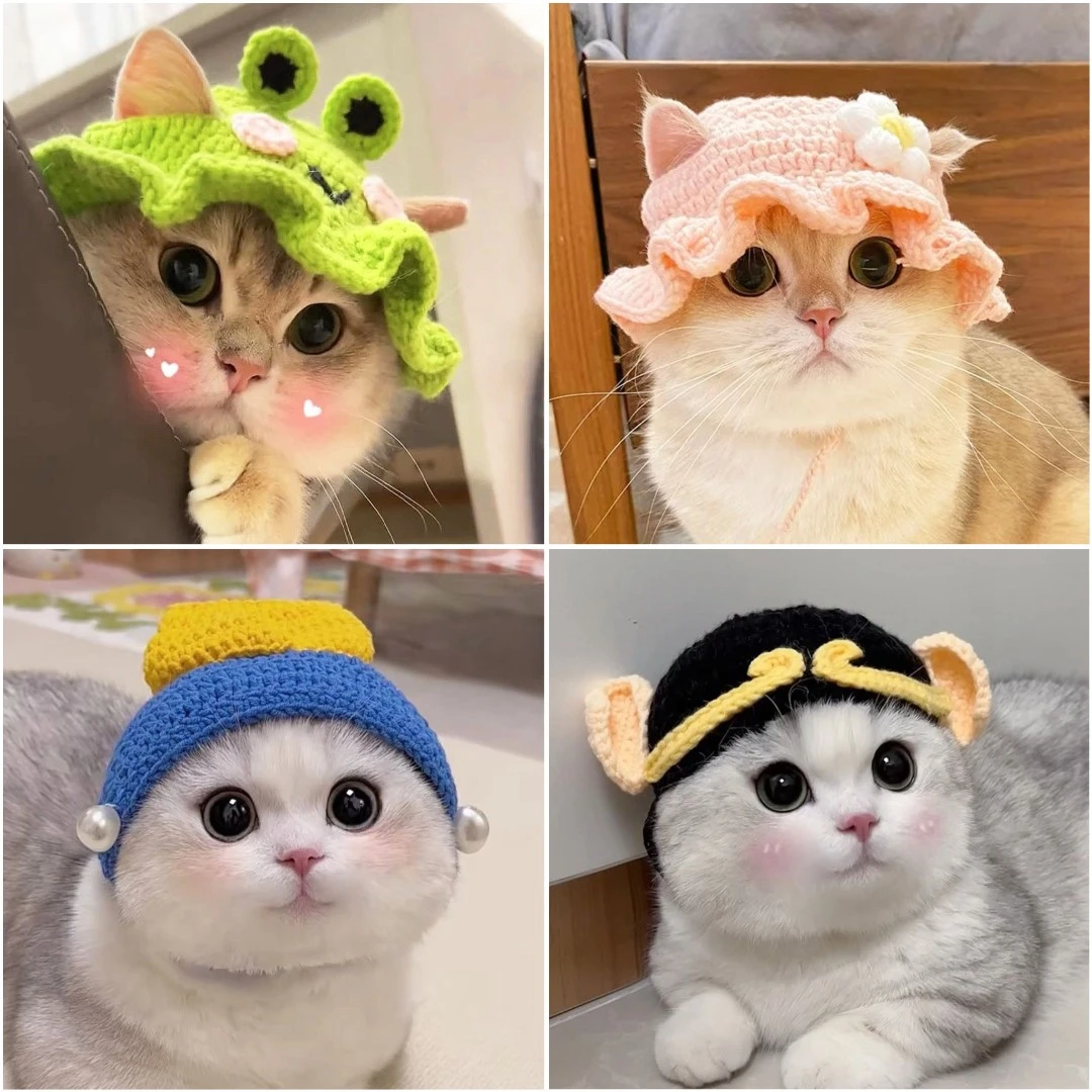 猫咪猪八戒头套宠物猫咪变装编织猫头套搞笑可爱道具搞怪毛线帽子