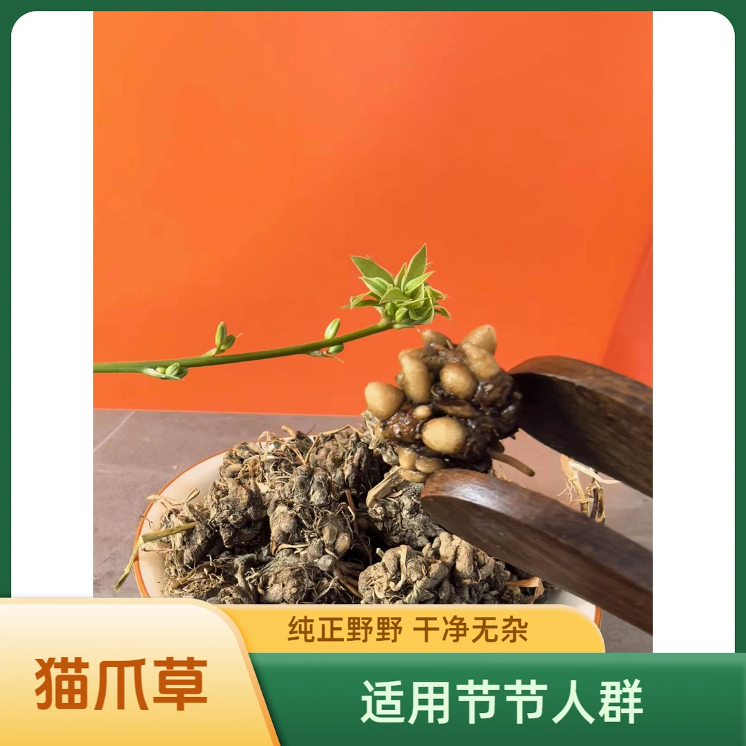 和泰隆 野猫爪草枸杞汤料1~500克