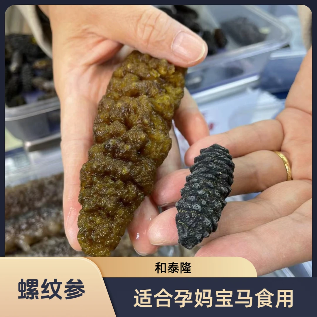 和泰隆 78-80头85头螺纹海参 适合孕妈宝妈1~500克