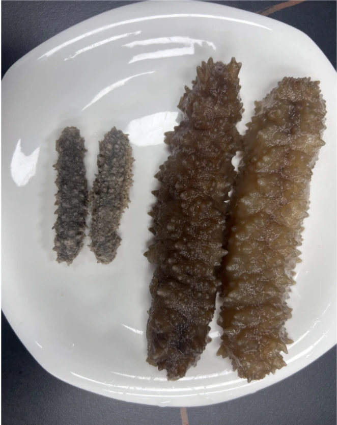 和泰隆  刺皇参 泡发 独立包装  1-500g