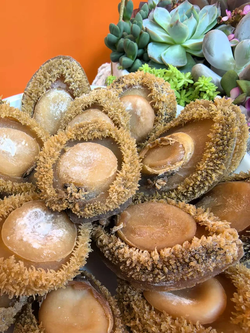 和泰隆 25头溏心足干网鲍鱼 1-500克