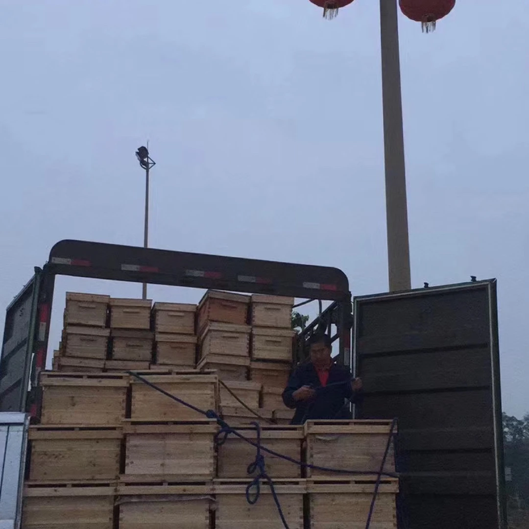 购买须知请阅读】肆脾一箱阿坝中蜂种蜂蜂场