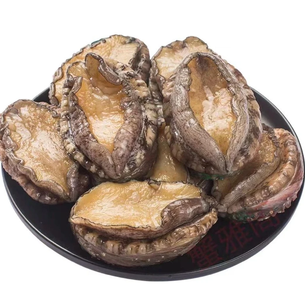 到手（20只）12-14头规格鲍鱼海鲜水产活鲍速冻约550g