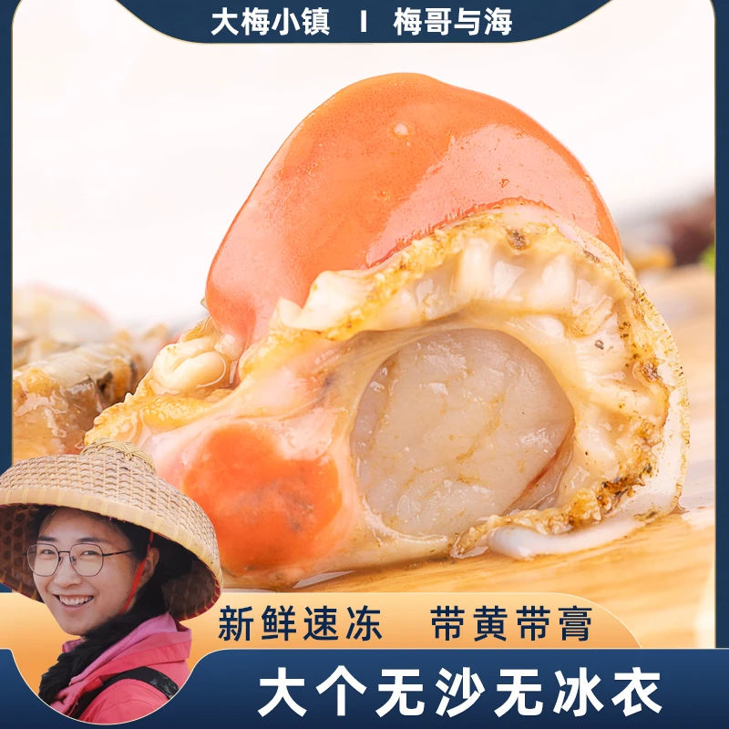 梅哥与海新鲜速冻 大个无沙 精选2030规格扇贝肉 带黄带膏 3斤/盒