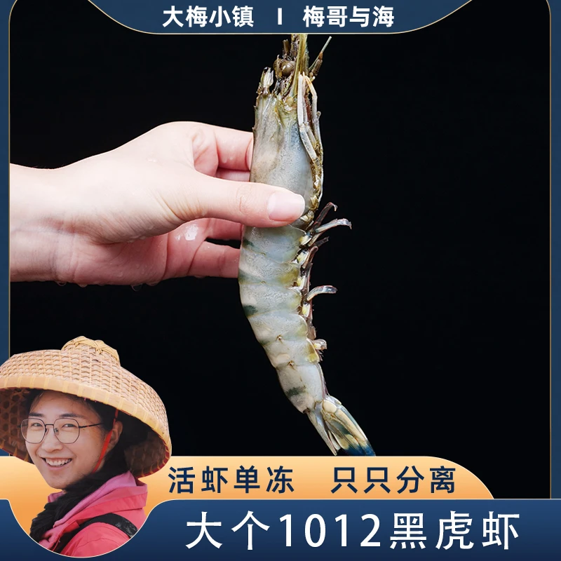 鲜活速冻1012黑虎虾一斤5-6只左右一盒3斤含保护冰一盒15-18只