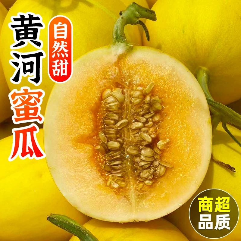 正宗黄河蜜瓜红金脆金红宝沙漠新鲜香蜜瓜脆甜爆汁2-9斤整箱包邮
