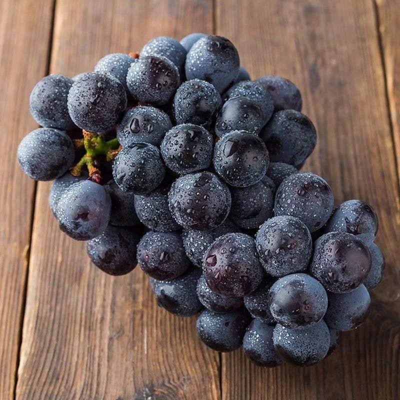 【顺丰精品】云南蓝莓无籽葡萄 3斤装 皮薄无核 香味浓郁 肉质细脆