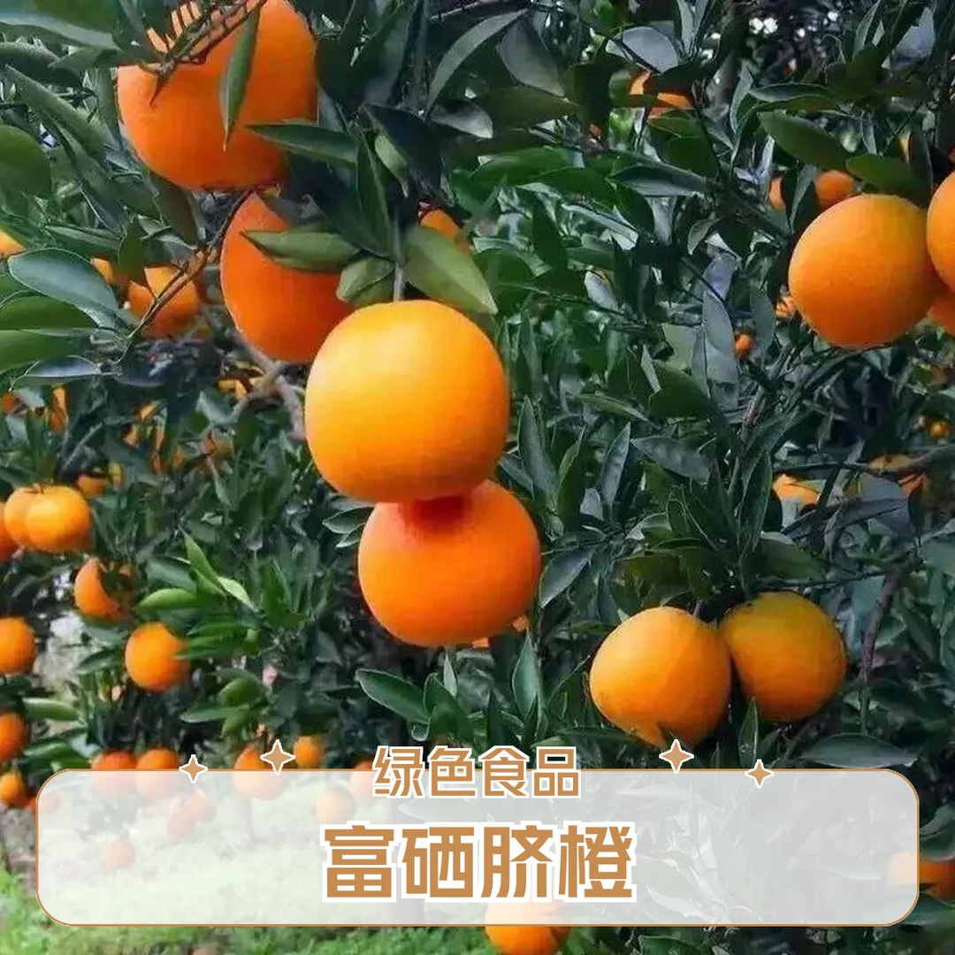 绿色食品 袁州硒橙 富硒脐橙果园直销 明月山脐橙10斤