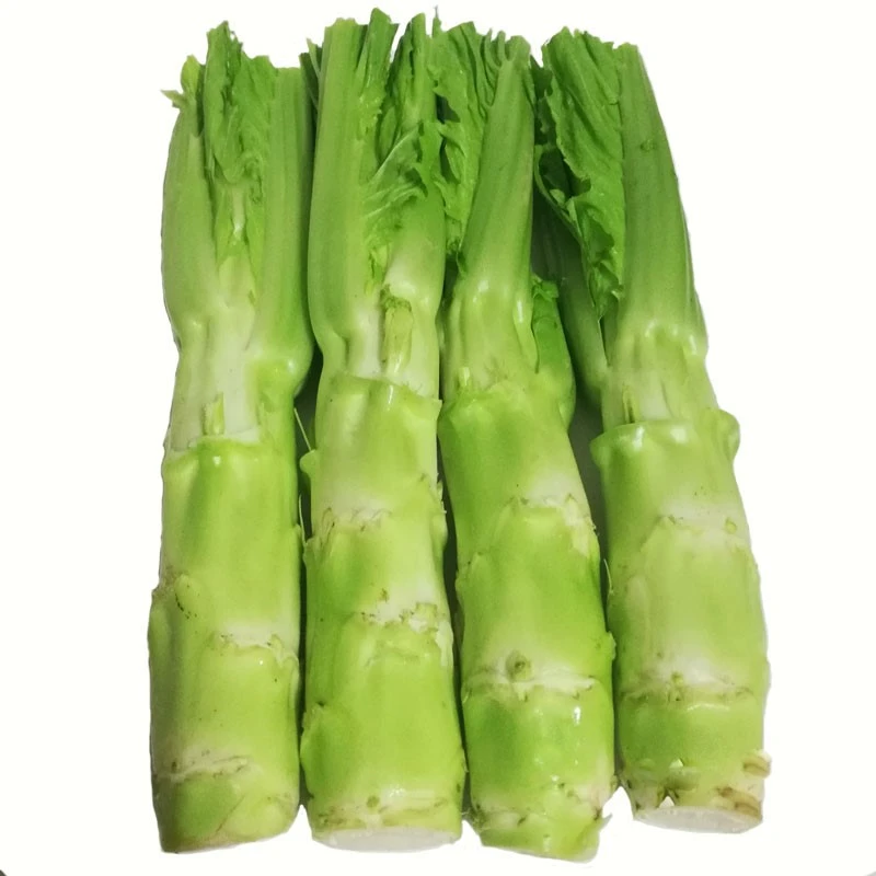 大棒菜种子薄皮棒菜包心大芥菜种秋季抗病南方菜头特色棒棒菜良种