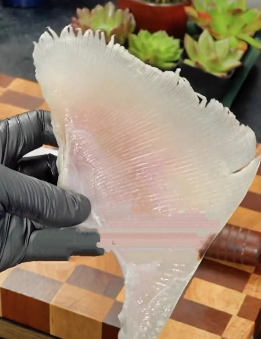 a.木大姐专属连云港发货鳐鱼翅200-300g/条到手5条