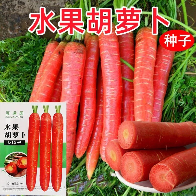水果胡萝卜种子四季甜脆红萝卜种籽春夏秋季新手简单