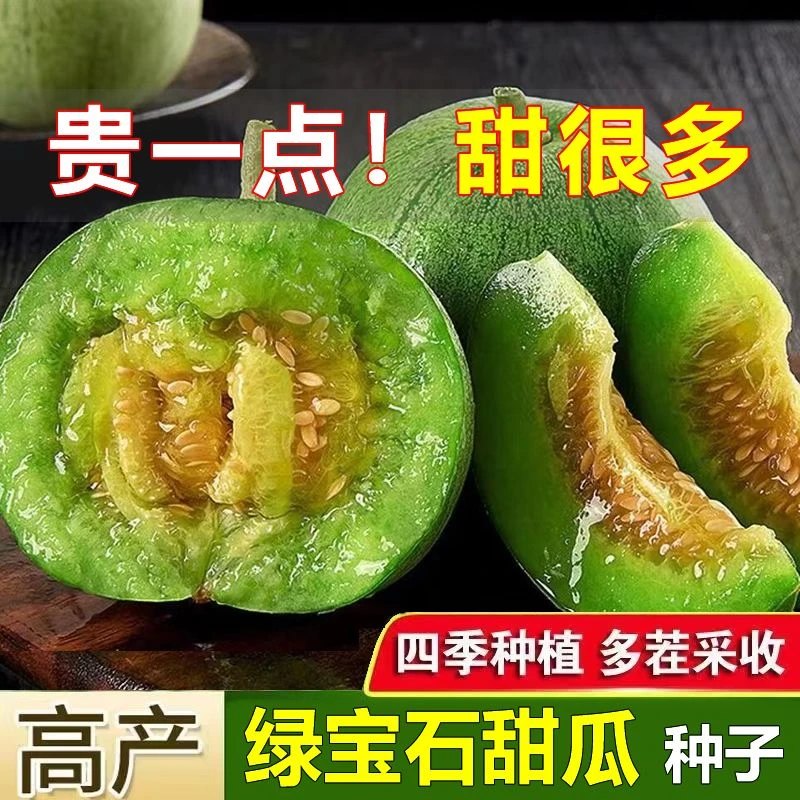 【苞出芽】绿宝石甜瓜种子超甜薄皮香瓜冰糖春季四季脆新手简单
