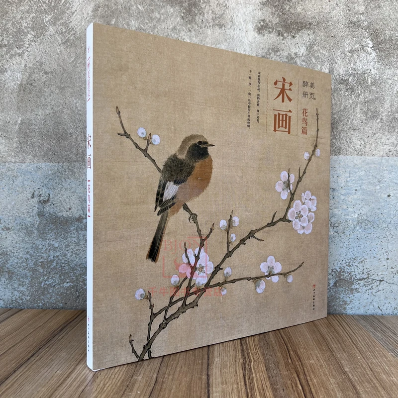 醉美册页 宋画花鸟篇 宋代花鸟画集绘画图录美术素材鉴赏宋人小品