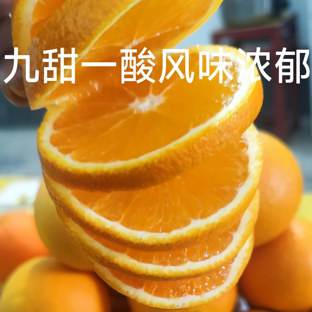 九月红果冻橙移动果汁库原生态种植现摘现发新鲜九月红橙红果冻橙