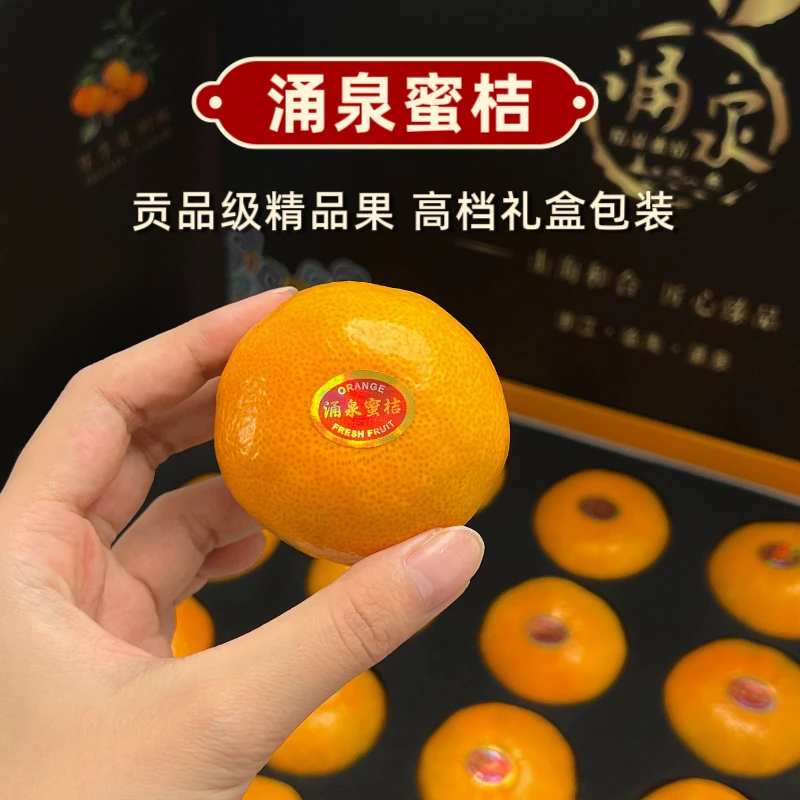 【豪华黑金礼盒】正宗临海涌泉宫川蜜桔精选新鲜采摘皮薄无核