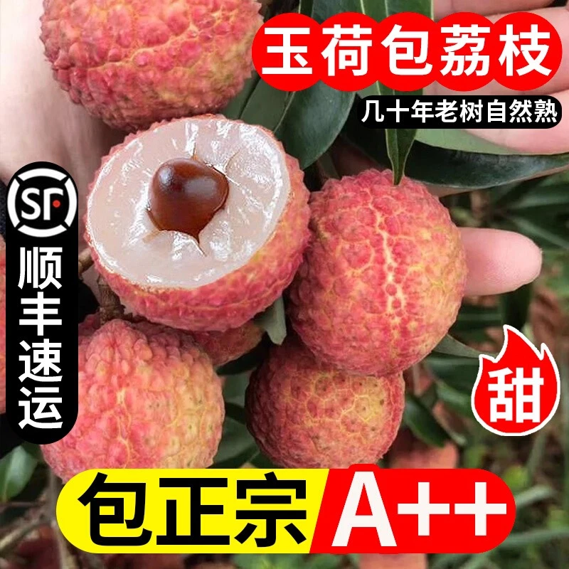 顺丰包邮正宗新鲜玉荷包荔枝皮薄肉厚当季水果汁水充足当天采摘