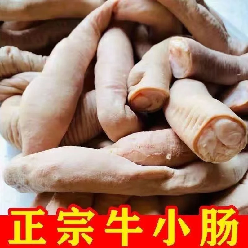 新鲜/飞水/全熟黄牛小肠 牛肥肠 韩式烤肥肠原材料 无需处理