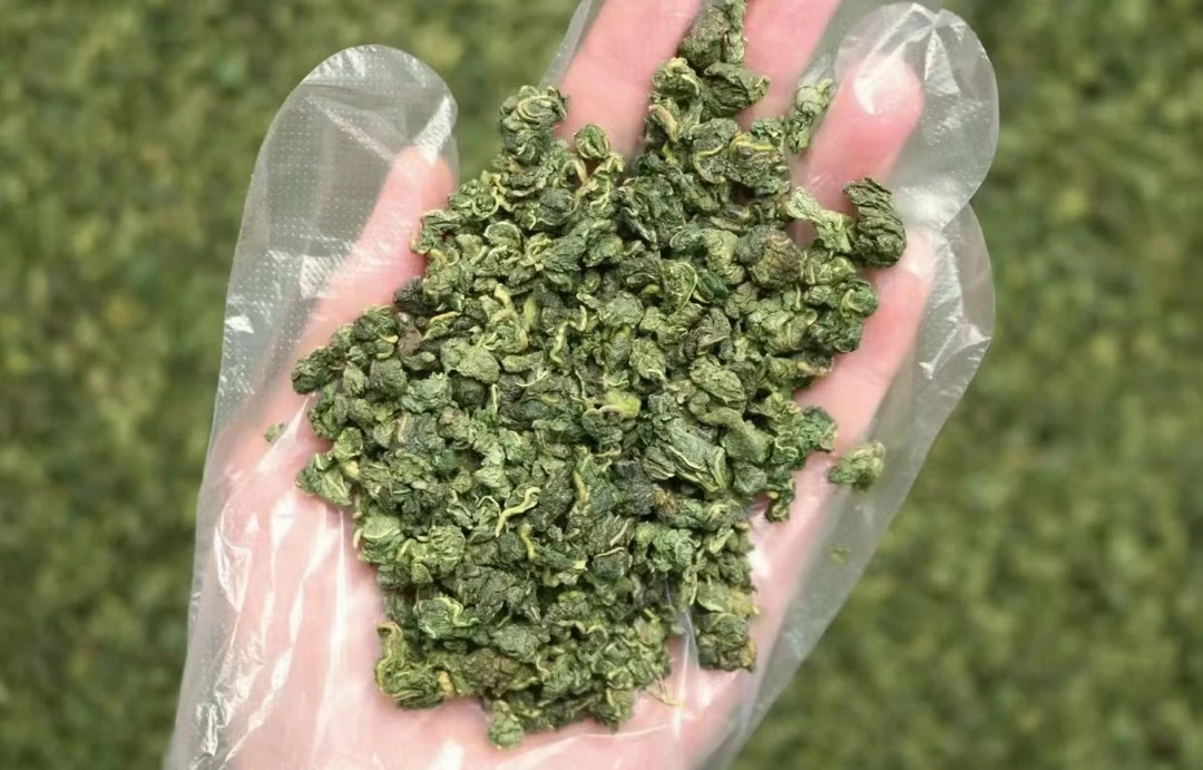 【云山土特产】现-收土特产  桑-叶-茶  -500克食用农产品
