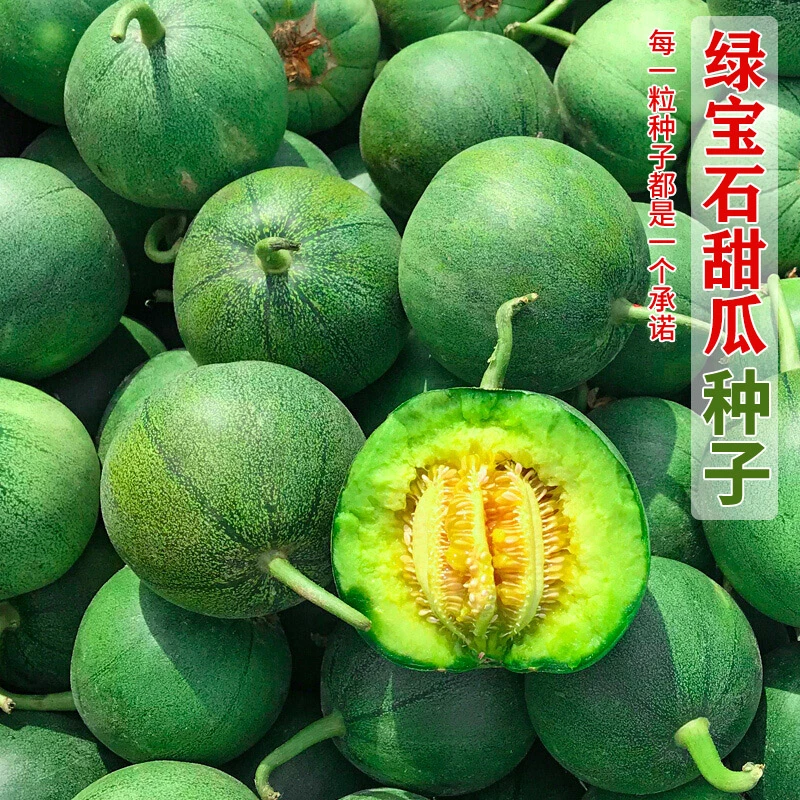 绿宝石甜瓜种子超甜薄皮香瓜种籽绿皮四季阳台蔬菜