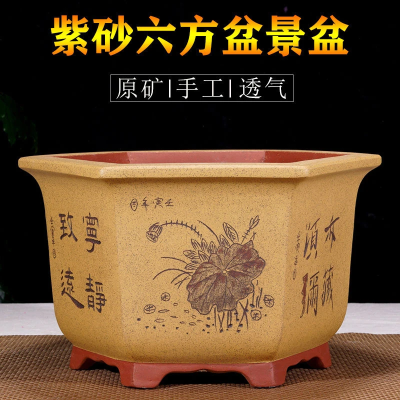 宜兴紫砂精品盆景花盆大六方客厅榕树老桩发财树果树金弹子造景盆