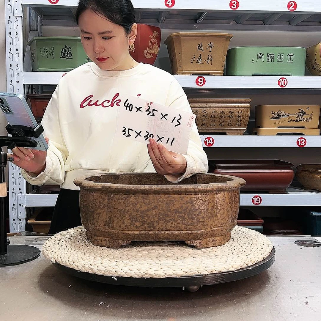 紫砂花盆紫砂花盆