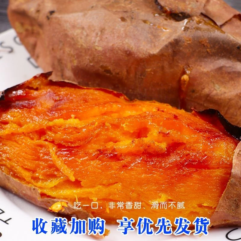 山东烟薯25号蜜薯糖心红薯烤箱空气炸锅烤地瓜专用山东农科院红薯