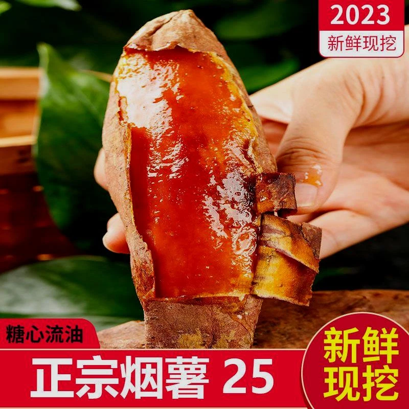 山东蜜薯烟薯25糖心红薯红心流油地瓜新鲜农家沙地山芋烤番薯5斤