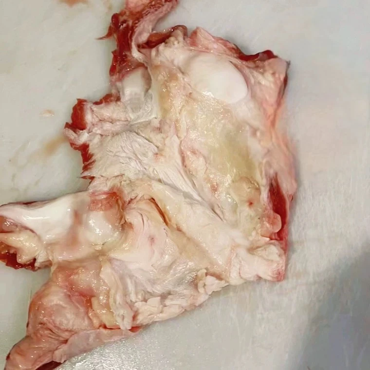 窝骨筋（去骨）4斤  软糯Q谈，胶原蛋白