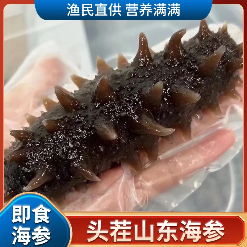 【小玉专属】即烟台食海参 工厂直发 9-12头一斤装500g单个抽空包装