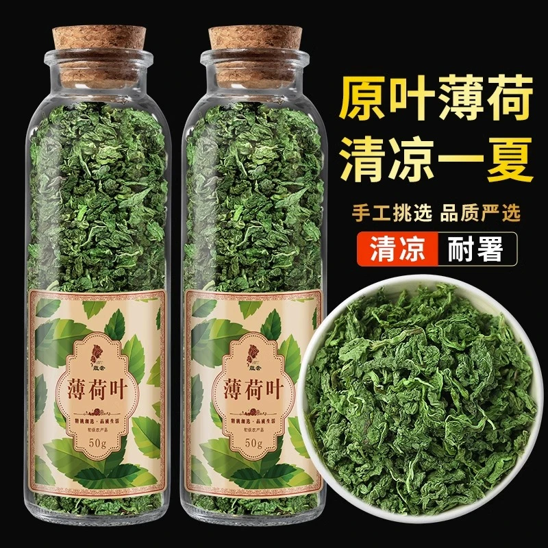 薄荷叶新鲜食用菠荷叶子泡水提神醒脑冷泡茶叶干薄荷泡茶喝的东西