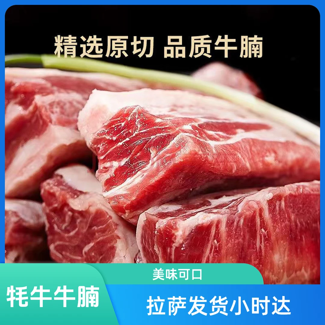 【牦牛牛腩】拉萨同城小时达 （牦牛肉，新鲜牛腩） 500g