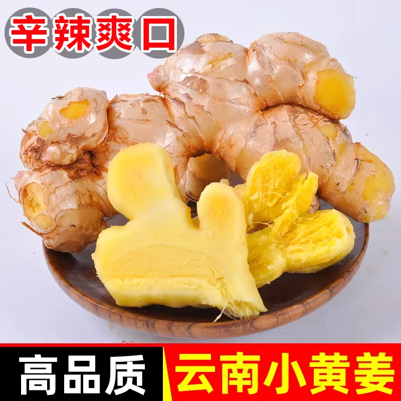 【山货现挖】云南小黄姜新鲜老姜沙姜仔姜月子姜农家南姜生姜3斤装