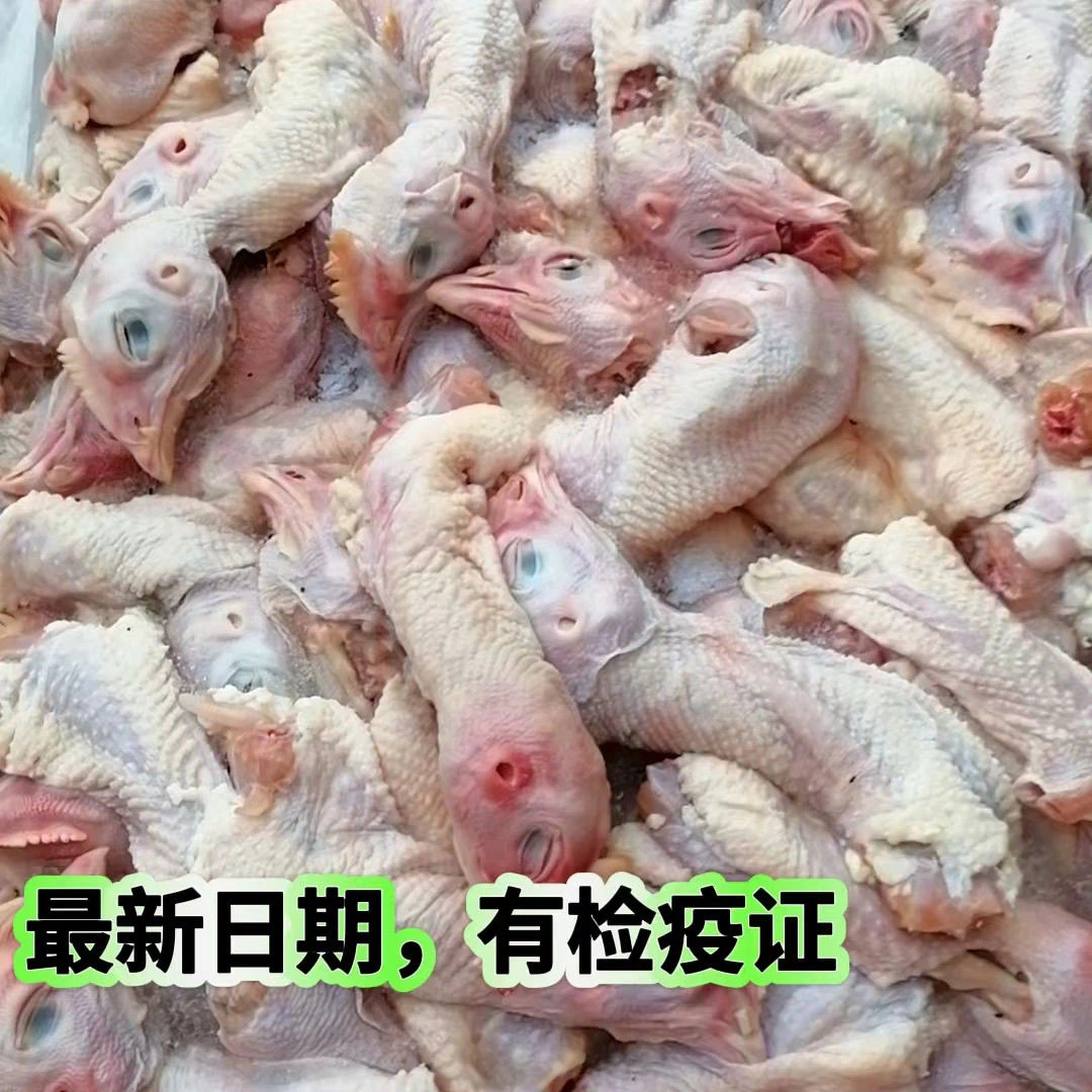 鸡头脖子带脖子鸡头整板速冻新鲜宰杀煲汤喂宠物量大优惠